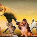 group-preview-img